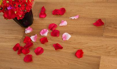 好迪威石墨烯地暖的研發(fā) 技術(shù)創(chuàng)新與市場前景